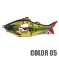 Color 05