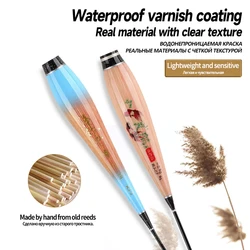 3 uds flotador de caña cuerpo de flotador de pie + 3 uds tubos + 1 ganchos de bolsa + 1 flotador cuerpo de boya luminosa sin cola sin batería CR425 herramientas de pesca