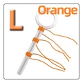 7   Orange  L