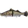 CP