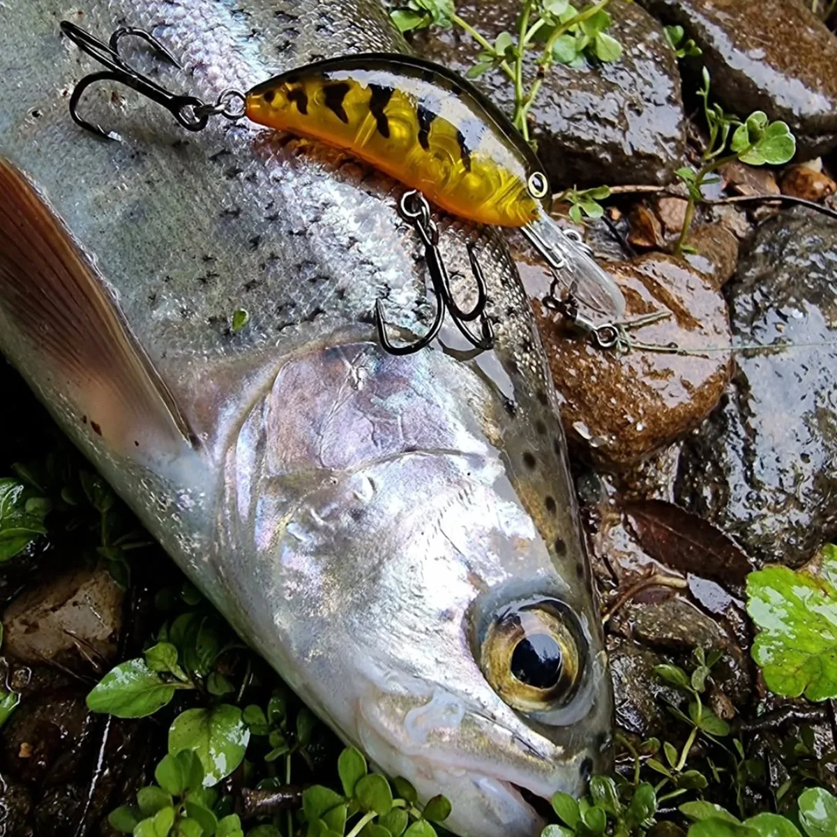 Mini señuelo Minnow GOWAVE vista lateral