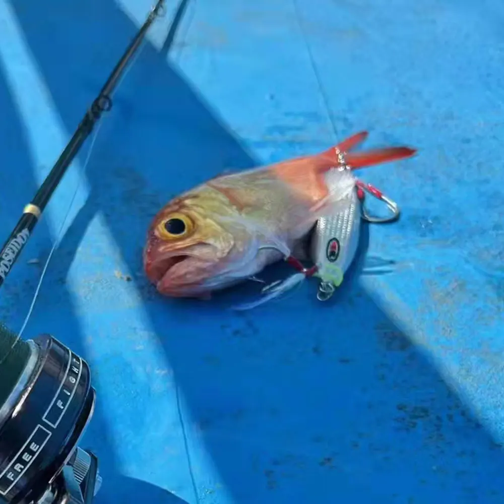 5Pairs/bag Lure Jig Hooks 5/0 Glow Steel Stainless Wire Barbed Hooks Sea Fishing Assist Hook Jigging Tackle Carbon Pesca Leurre - imagen 5