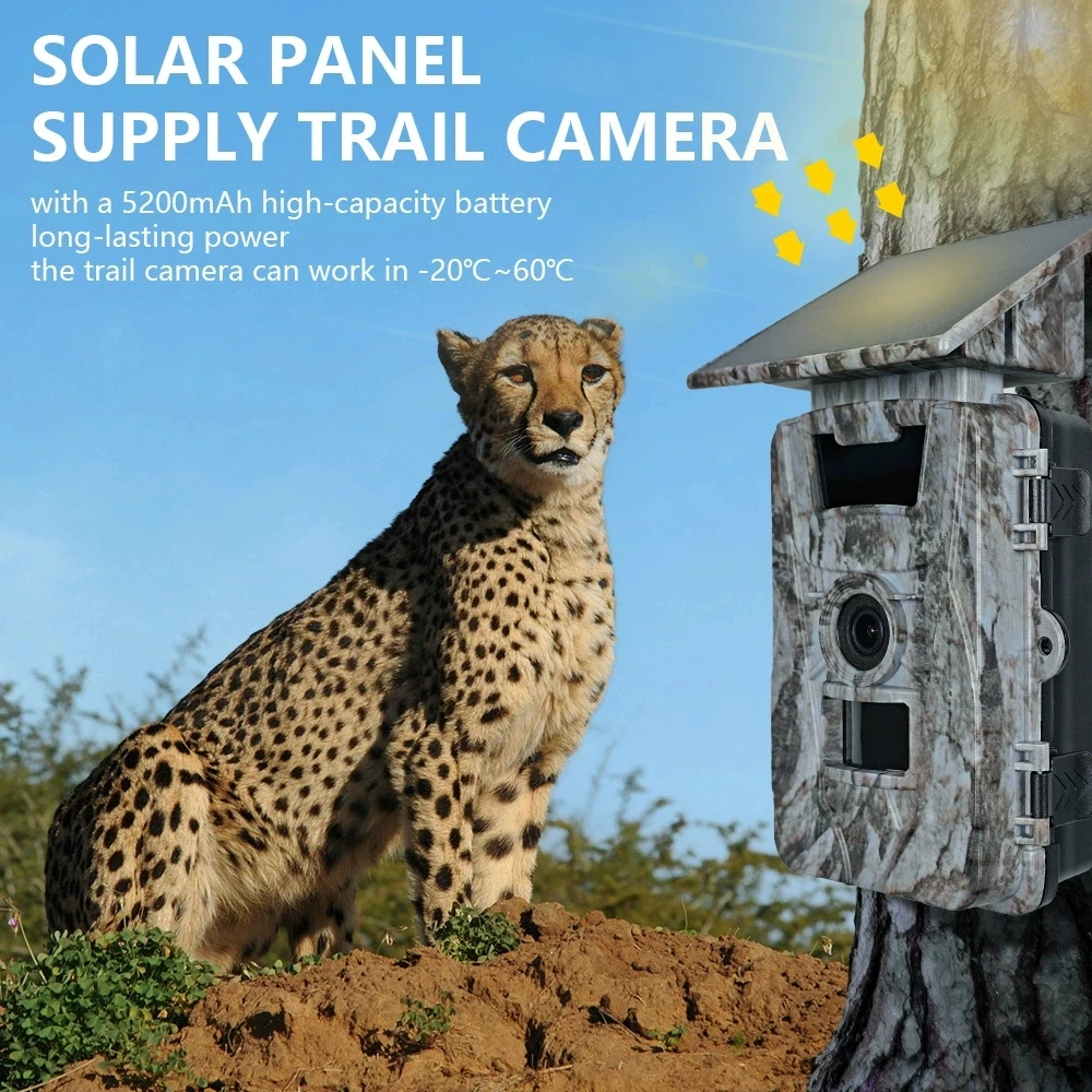 PR903DW Cámara caza WiFi panel solar – Visión nocturna 4K 60MP - imagen 5