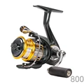 FS 800