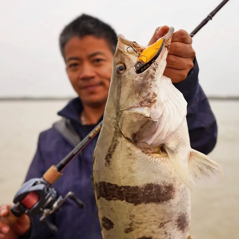 2024 nuevo EOA Viber Jack 65 hundimiento VIB placa de hierro de Metal señuelo de pesca 14g/16g tiro largo Isca Artificial Wobbler cebo duro aparejos - imagen 4