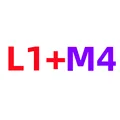 L1 M4