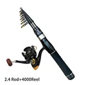 2.4 Rod Reel 4000