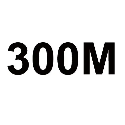 300M