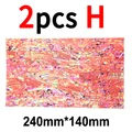 2pcs pattern H