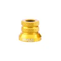 golden-1pc