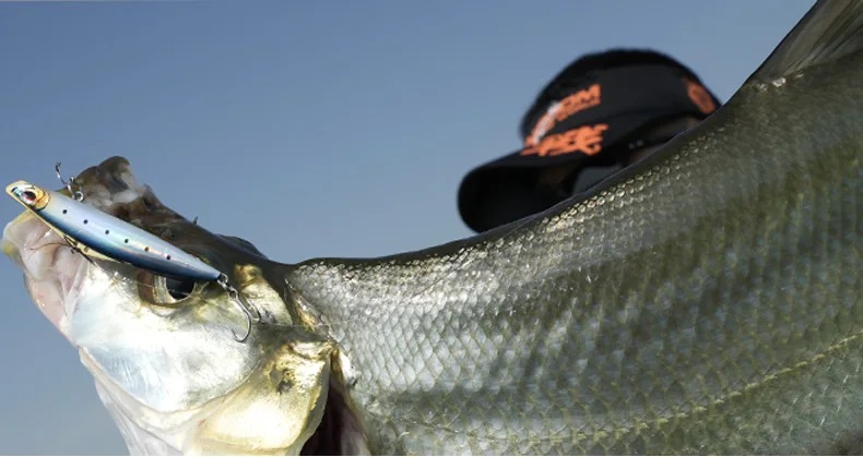 ¡Experimenta la emoción de la pesca con esta impresionante captura!