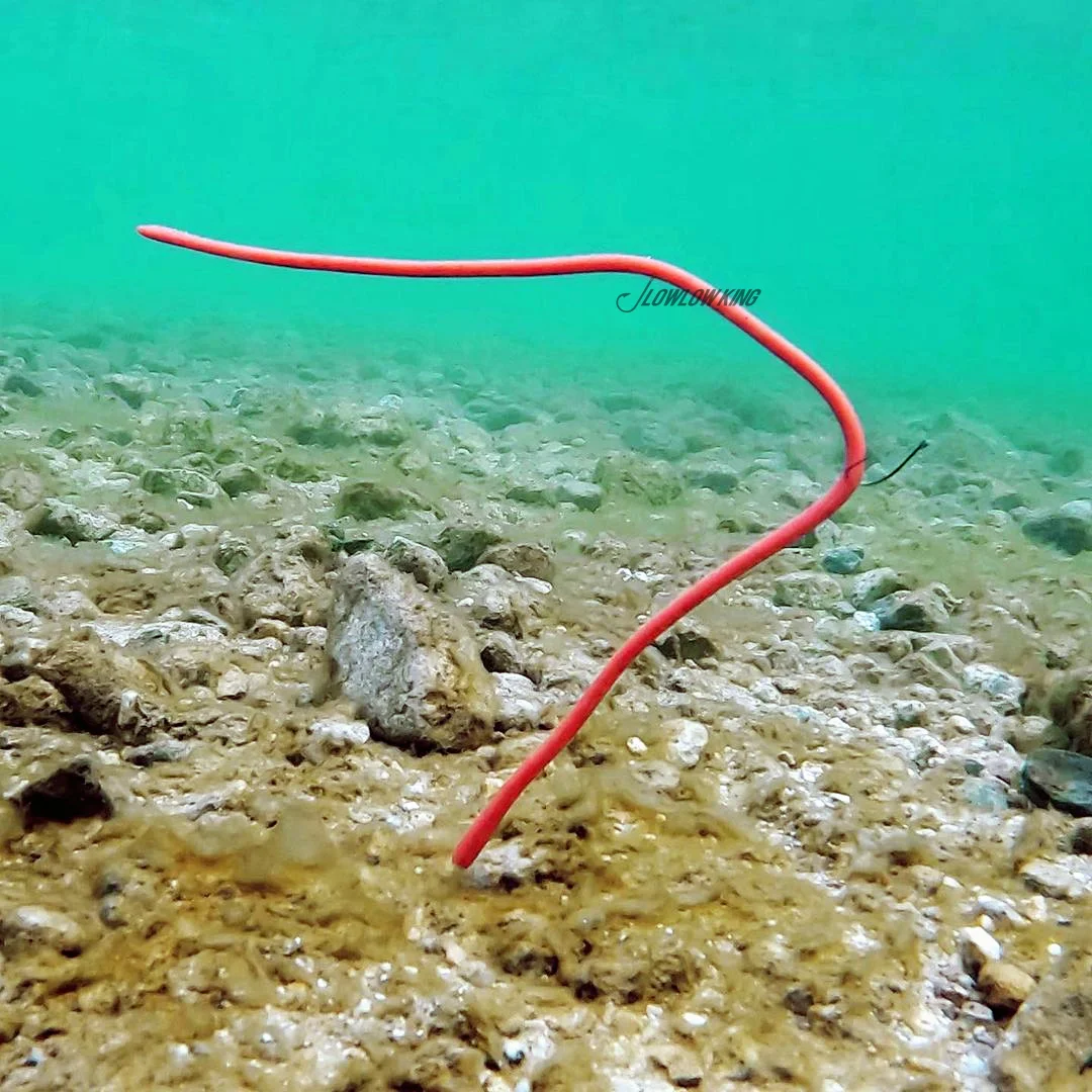 JACKALL-Conjunto de pesca Neko sin plomo, cebo subsuave de carretera, gusano de fideos súper largo, "M" -16 pulgadas, Japón - imagen 4