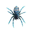 Spider-3G-03