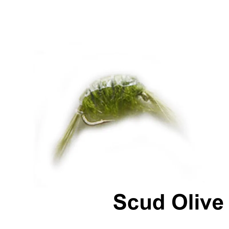 Scud Olive Size16
