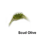 Scud Olive Size16