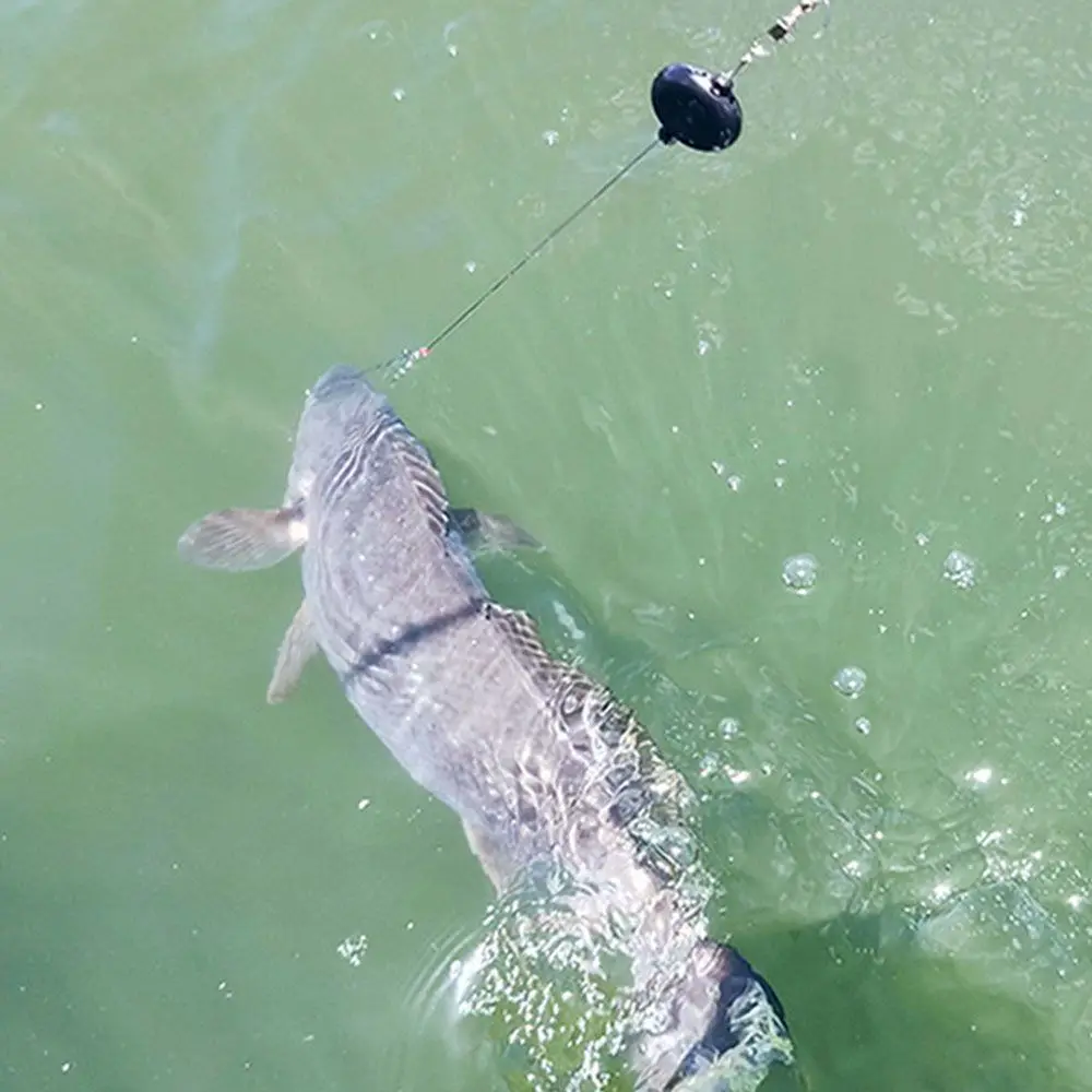 Catapulta de eyección de captura de velocidad completa de acero inoxidable, regla de pesca automática, gatillo de anzuelo de pesca automático, accesorios de pesca - imagen 2