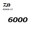 6000
