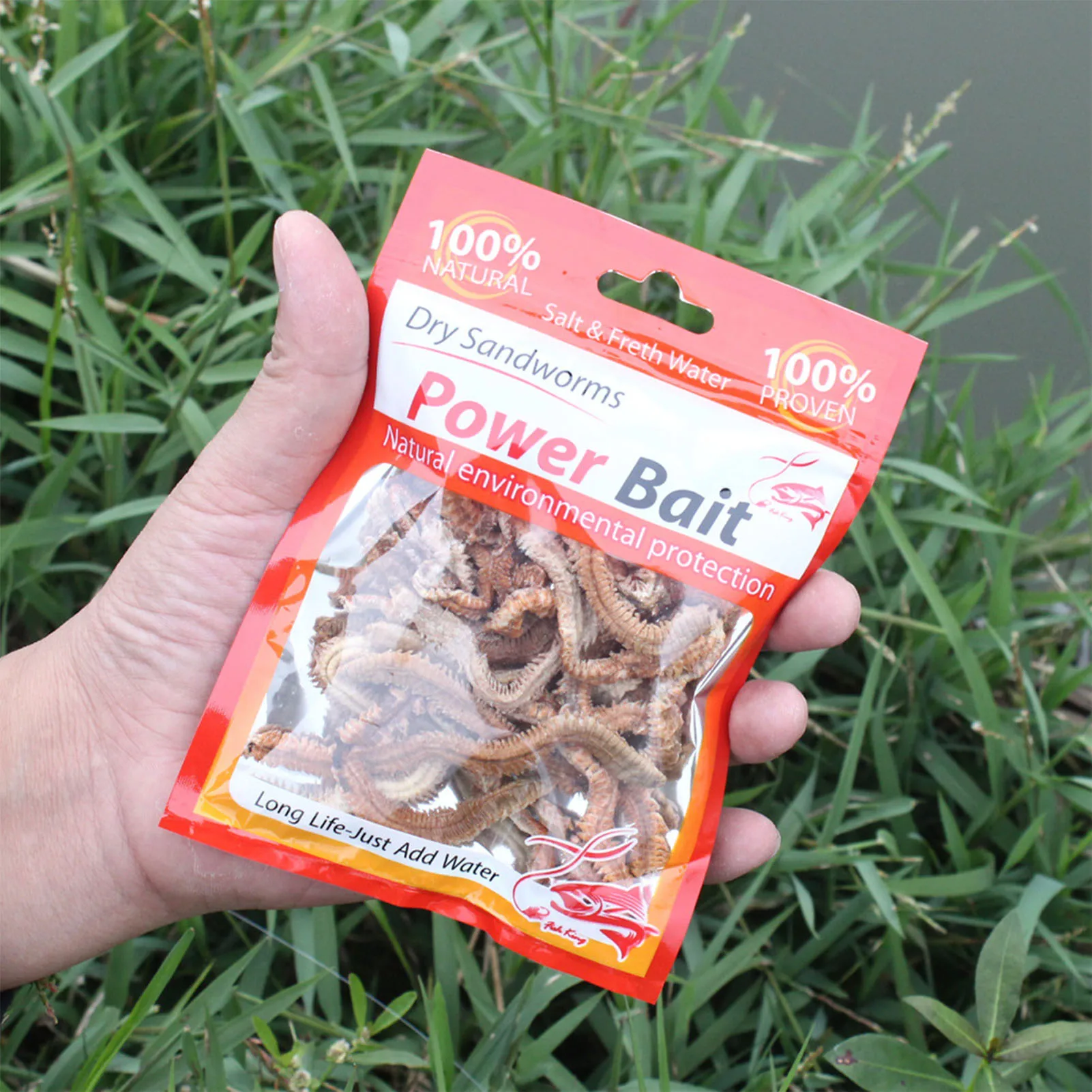 Gusano de arena seco 100% Natural, Señuelos de Pesca de 6/10g, pesca al aire libre, torneo de pesca, comida seductor, captura de carpa para pesca de mar helado de invierno - imagen 5