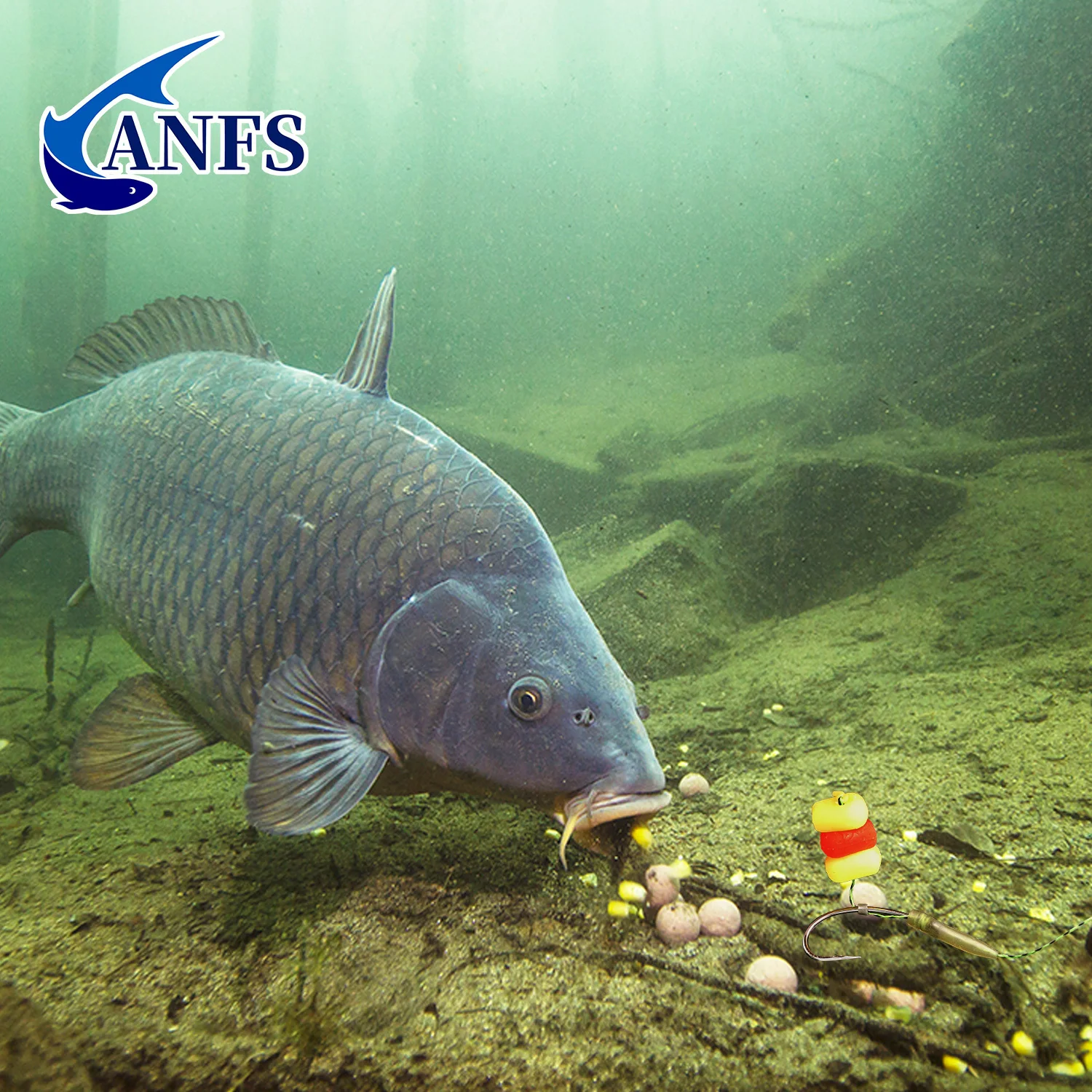 89 Uds. Caja organizadora de accesorios de pesca de carpa que incluye 5 uds. De aparejos para el cabello con gancho, 1 Uds. De agujas de cebo, 20 cebos, 63 Uds. De tapones - imagen 3