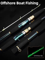 Caña carbono 2 tramos para alta mar – Punta luminosa sensible