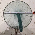 Diameter  40CM