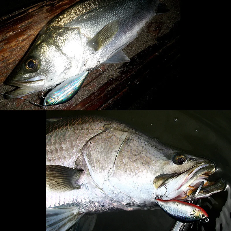 Lápiz gordo japonés Lua Bait NORTH CRAFT Final Weapon 70F 85FF lubina de mar cocido Beaked Golden Bass - imagen 4