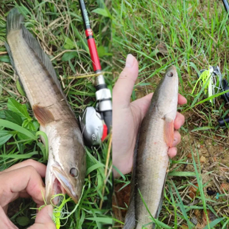 TAKEDO LD09 Composit Spinner cebo Chatter cebo de alambre plantilla de goma señuelo de pesca Buzzbait Wobbler Chatterbait para Lucio - imagen 3