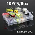 10PCS with Box