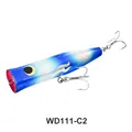 WD111-C2-Hook