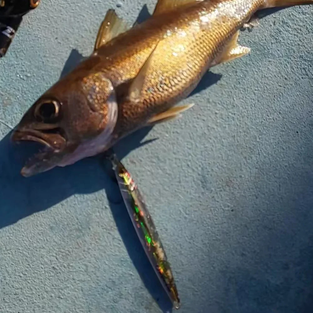 Jigging en alta mar para agua salada, plantilla de Metal de 40g-200g, señuelo de atún 3D, Jigpara para lubina, cebo duro Mahi Marlin, maqualla, aparejos de pesca para barco - imagen 3