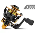 X 800
