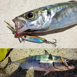 Jig Head Shore Cast metálico láser – Cabezal hundimiento para pesca a fondo