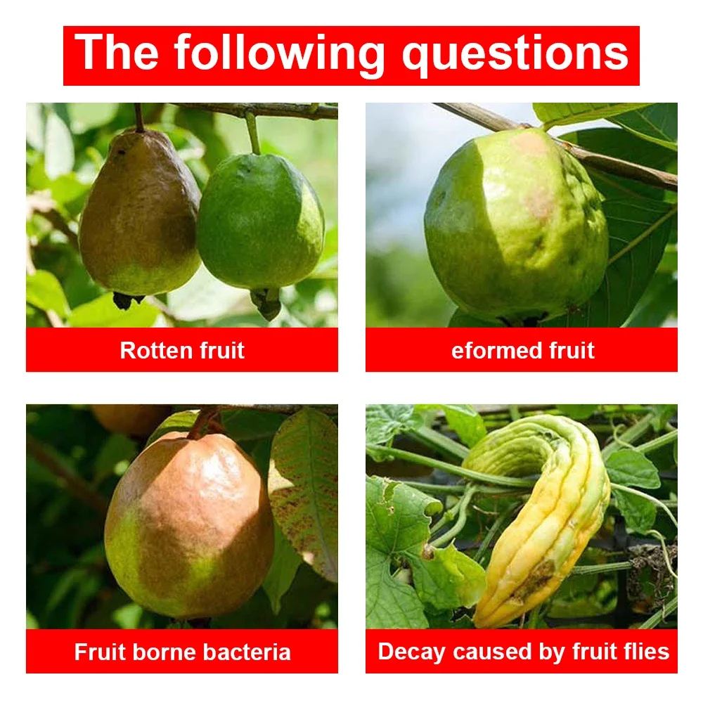 Goture trampa para moscas de frutas – Doble acción reutilizable - imagen 4