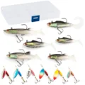 C-12pcs with box