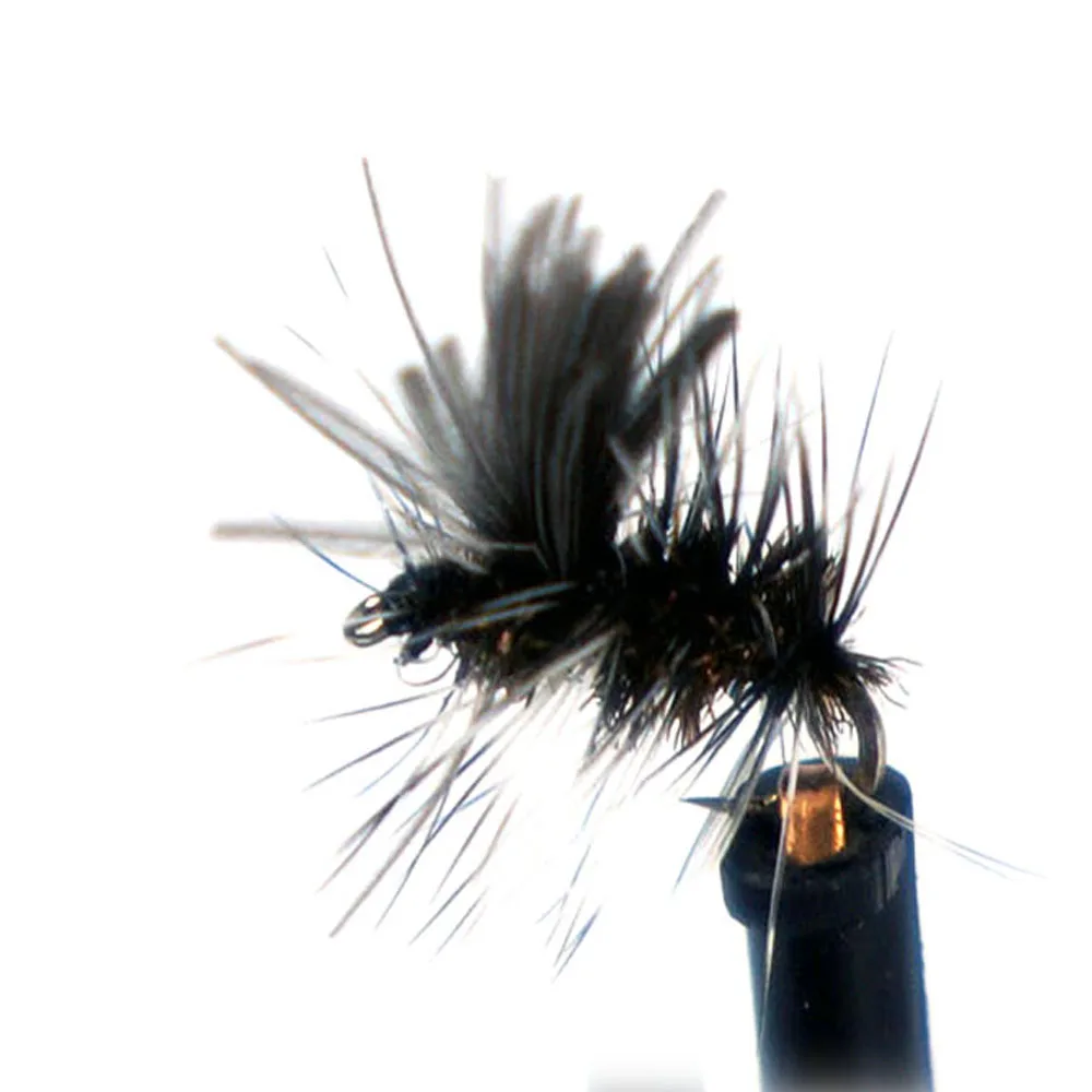 Hormiga Griffith CDC