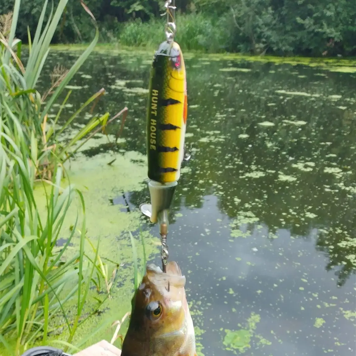 Hunthouse-señuelo de pesca Whopper Plopper Pencil 90 y 130mm Topwater Popper Bait giratorio, cebo de agua dulce para Lucio, aparejos de pesca - imagen 3