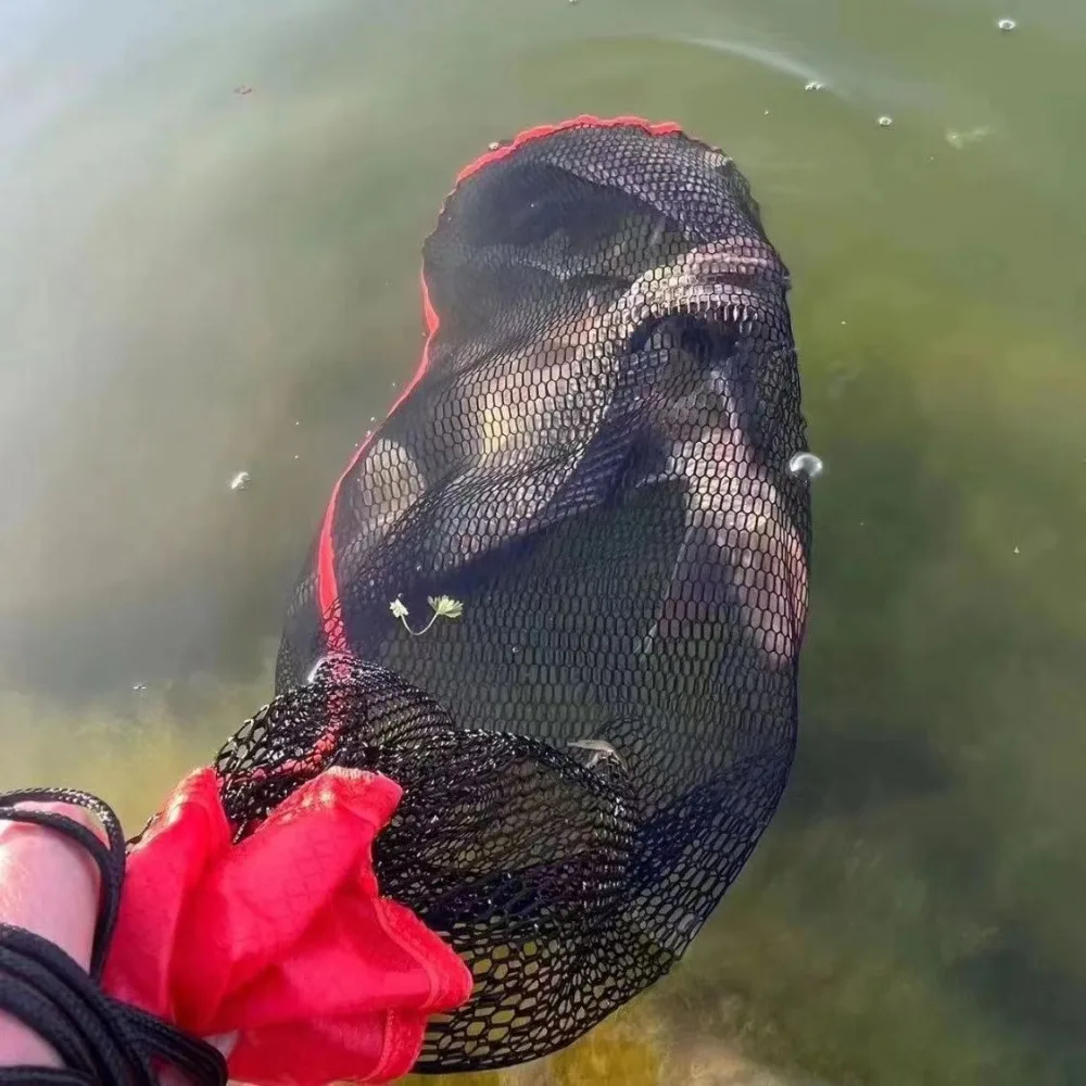 Bolsa de red de pesca de nailon ligera, hilo plegable verde, jaula de pescado plegable, pesca - imagen 3