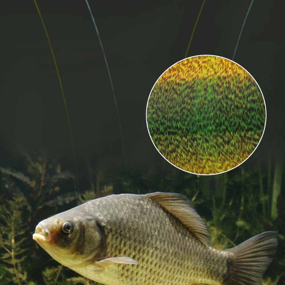 FTK-línea de pesca de fibra de carbono, 300M, supersuave, fluorocarbono, 0,14-0,5mm, 4,13-34.32LB, accesorios portátiles para pesca de carpa - imagen 5