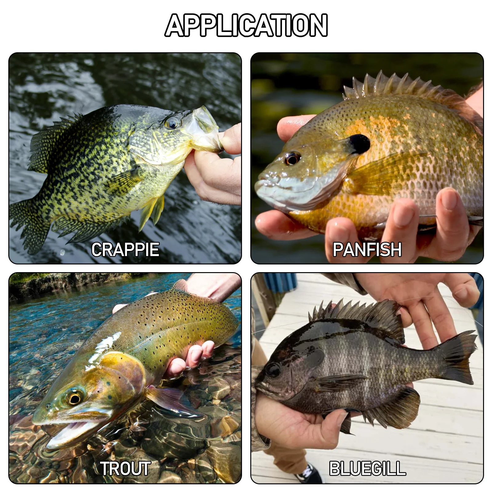 Descubra el mundo diverso de la pesca de agua dulce con estas especies icónicas