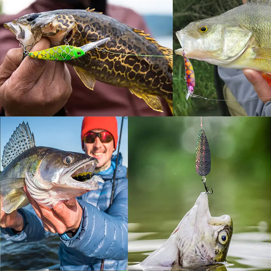 Pegatinas de escamas de pescado sobre superficie blanca
