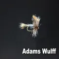 Adams Wulff talla 14