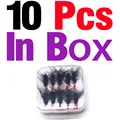 10Pcs In Box