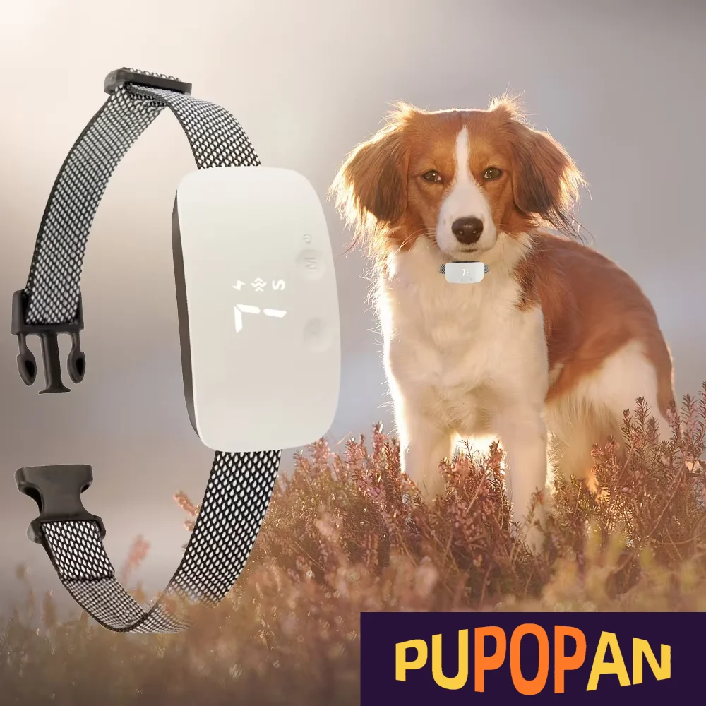 Perro - Collar inteligente anti-ladridos con 3 modos sonido/vibración/choque automático - imagen 2