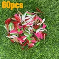 60pcs Random color