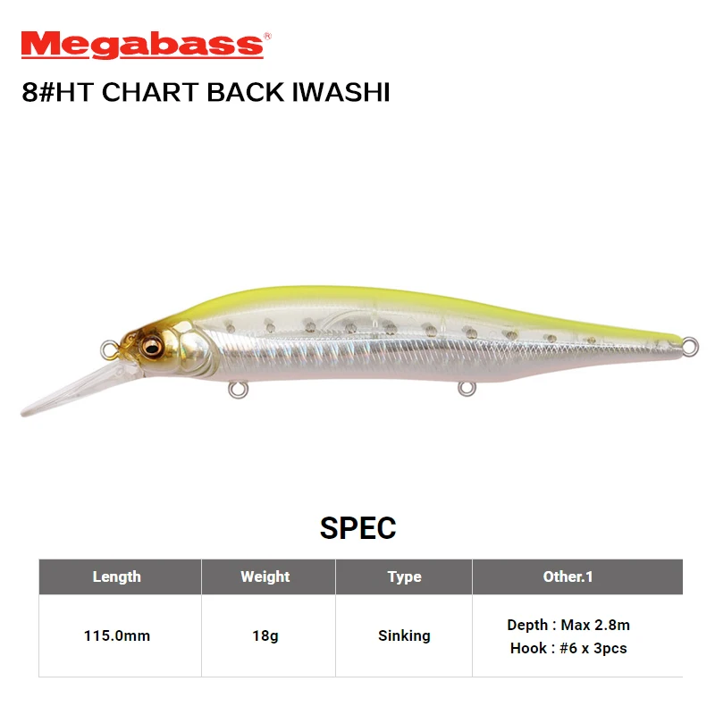 8- CHART BACK IWASHI
