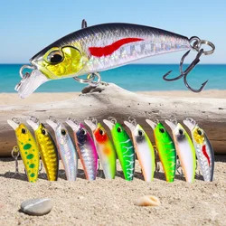Señuelo Jerkbait Minnow hundidor – Cebo duro para trucha y lubina