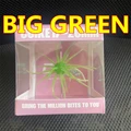 BIG GREEN 1PCS