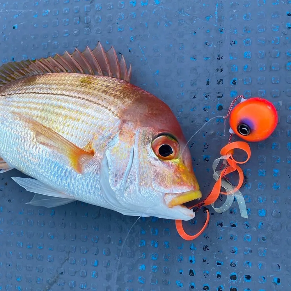 Señuelo de pesca Madai Jig Kabura, plantillas de agua salada, cebo para cabeza, pesca Artificial de curricán, lubina, pesca en mar, Billfish Wahoo Mahi Tenya Tairaba - imagen 4