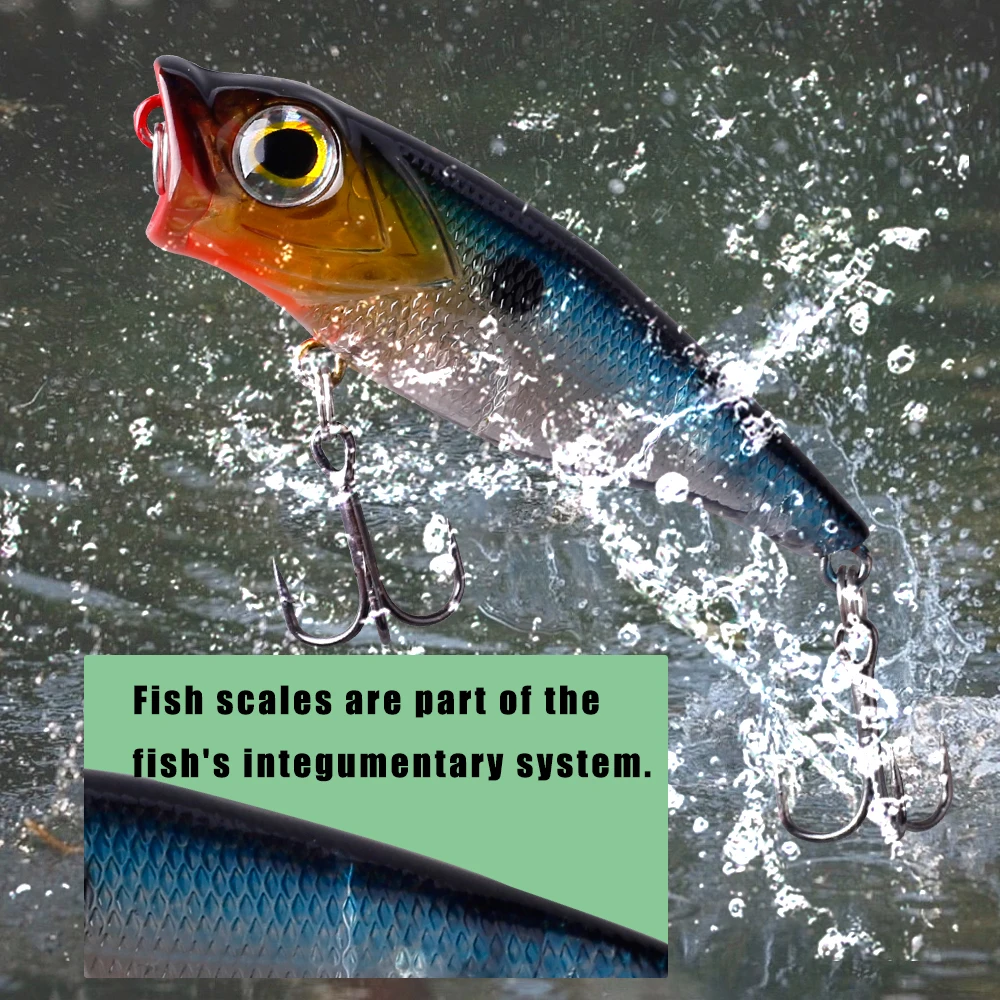 CCLTBA-Señuelos de pesca Popper de plástico duro, 6,5 cm, 7,5g, cebos duros Topwater, Wobblers Popper de boca grande, señuelos flotantes para pesca - imagen 4