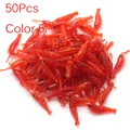 50Pcs Color 6